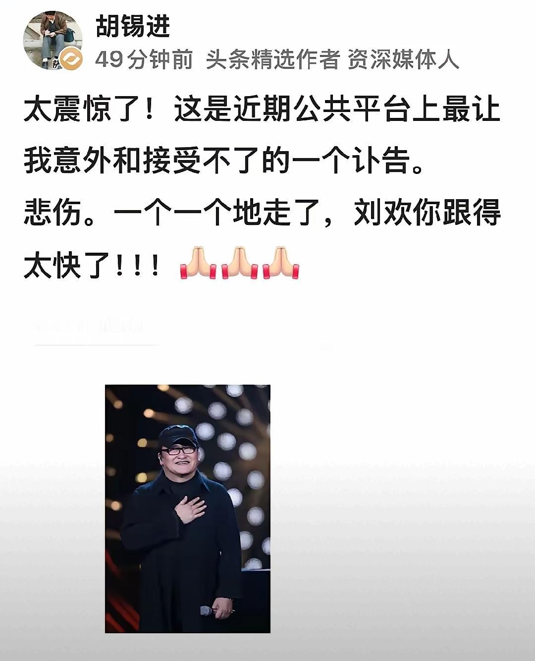胡锡进说：“一个一个地走了，刘欢你跟得太快了！！！”人话，绝对是人话！不是