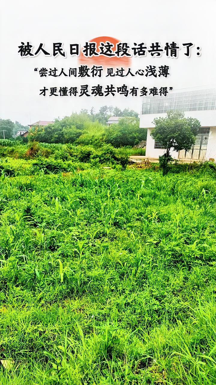 活了大半辈子，历经沧桑，社会残忍的现实，让我深深地感受到，最大的心愿，家人身心健