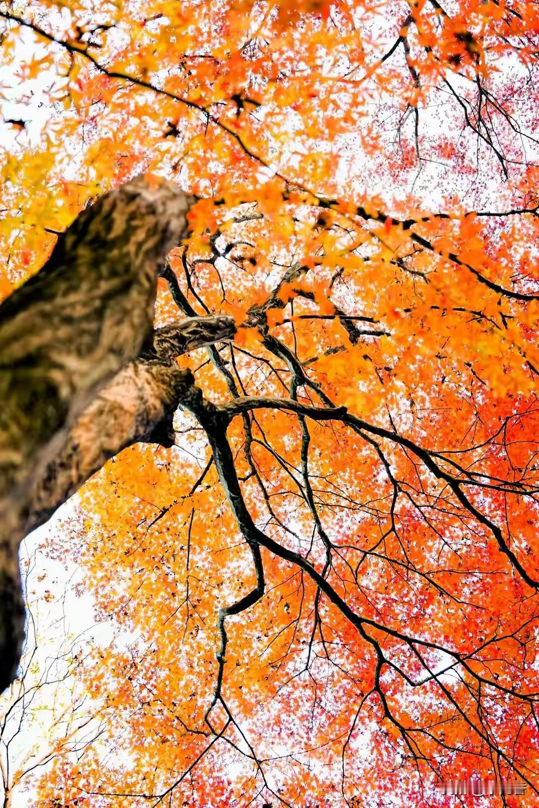 一段非常有道理的话：“你是永远都不可能掌握自己寿命的，不要以为你坚持锻炼身体，吃