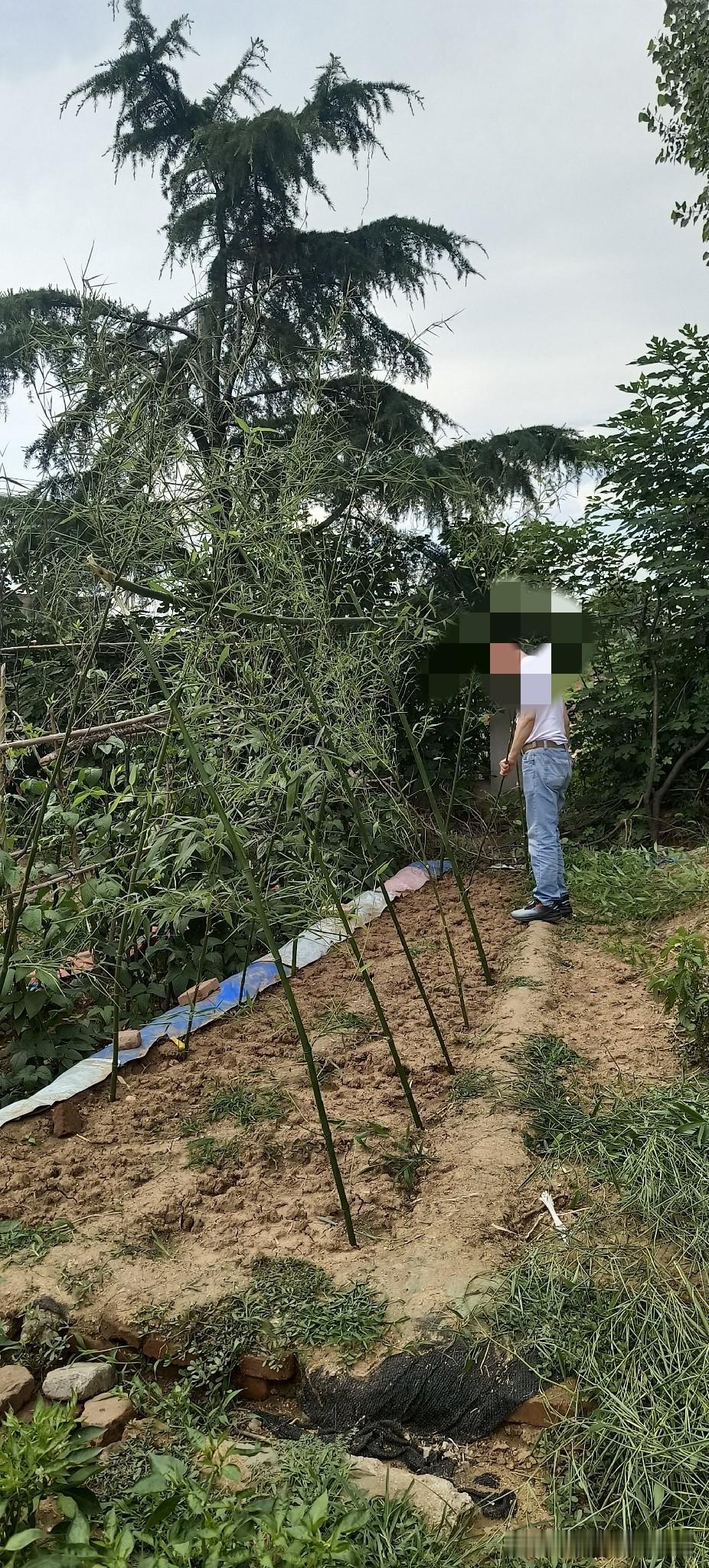 这几天我终于看透了婚姻里最让人寒心的模样。老公休班四天，整整三天躺在床上喊