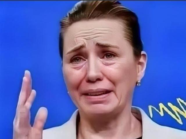 丹麦政府痛恨中国，丹麦的外交大臣拉斯穆森表示，过去不允许中国对格陵兰岛投资，现在