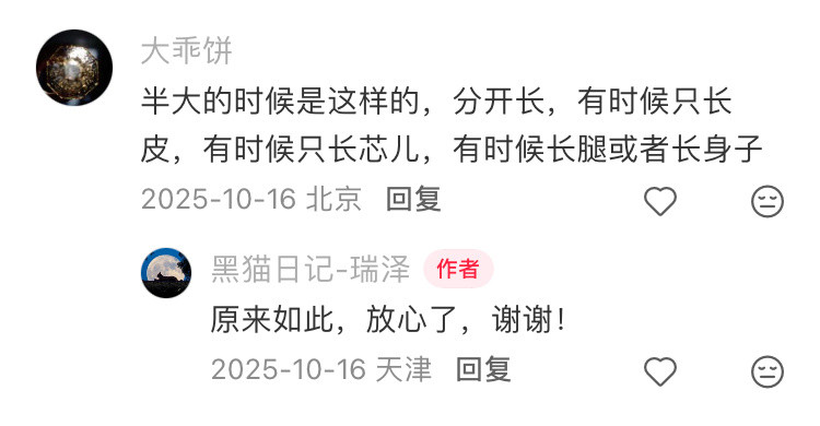 我家猫坐着有点驼背，网上一搜……原来如此