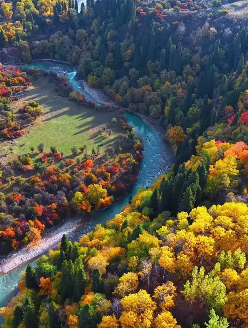 “不想伤害你的家庭”，这大概是婚外情里最虚伪的一块遮羞布了有个傻女人跑来问前程