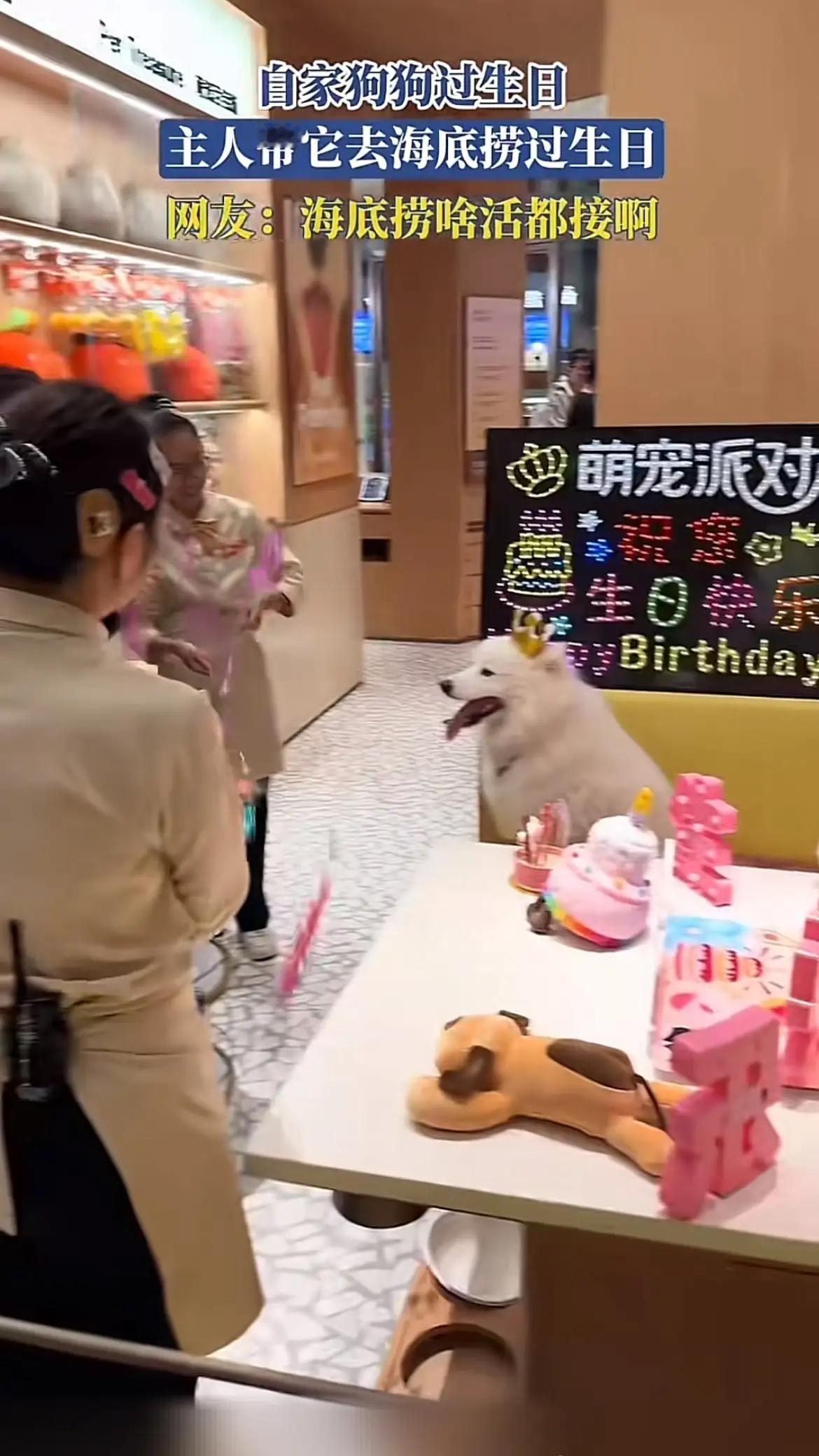 哪家海底捞允许宠物进入了，还给狗过生日，这简直是倒反天罡，从现在开始，暨西贝以后