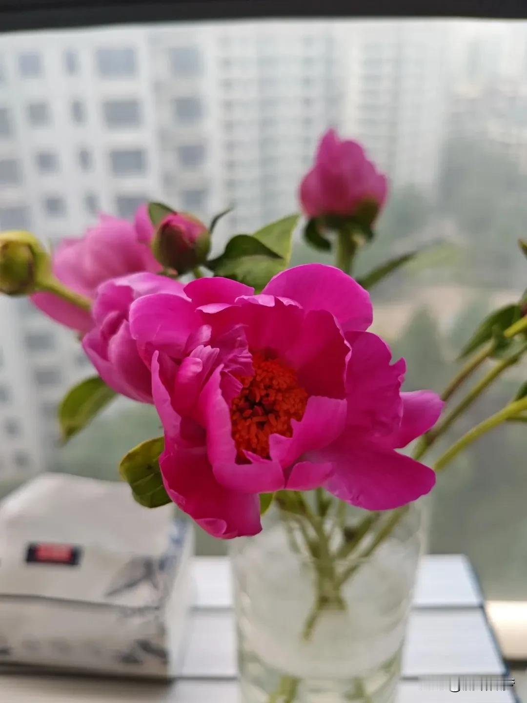 我的睡眠质量不好，长期的，因为神经一直紧绷，太累了！当我放弃一件事情以后，我