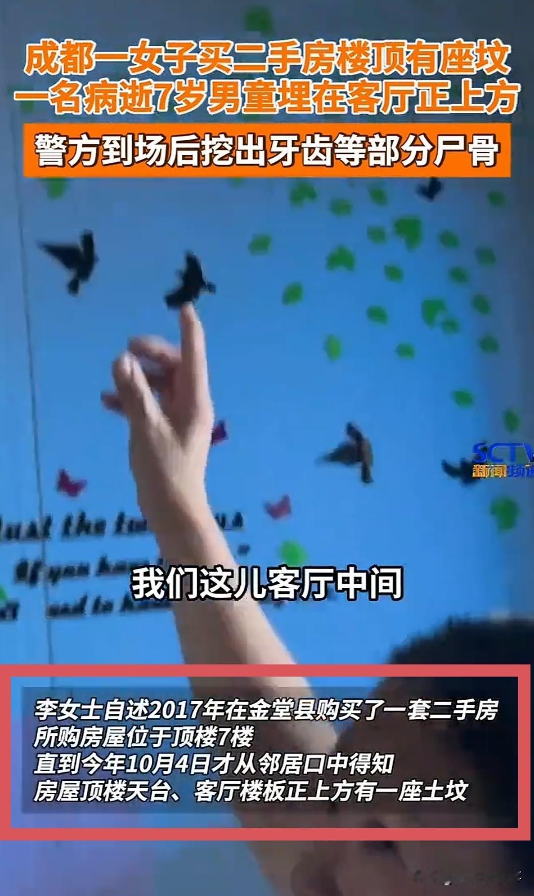 收了8年租，李女士从没特意看过自家天台。10月4日，邻居一句闲聊让她后背发凉："