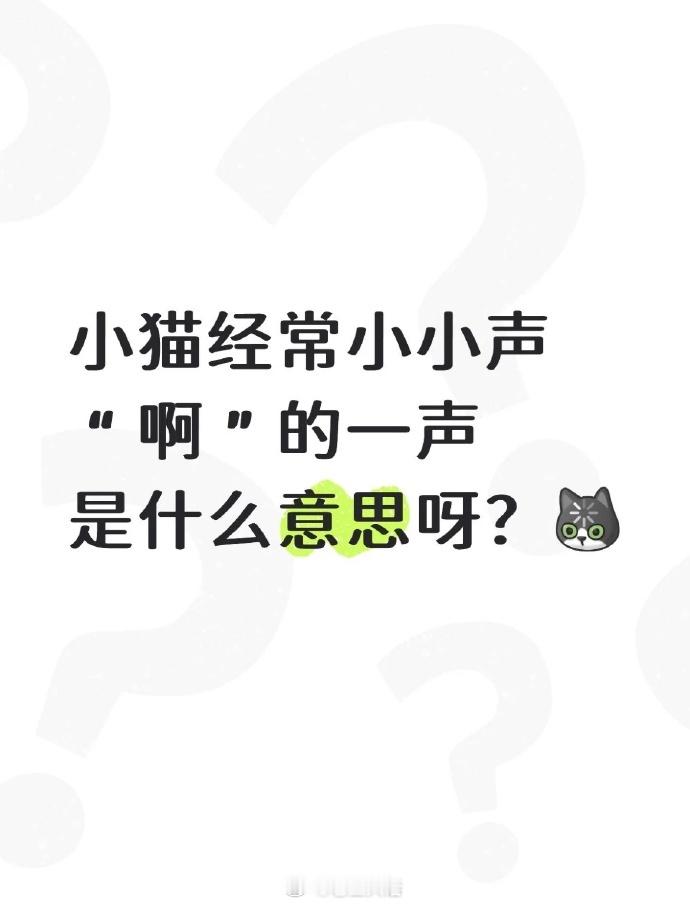 小猫经常小小声“啊”一声原来是这个意思​​​
