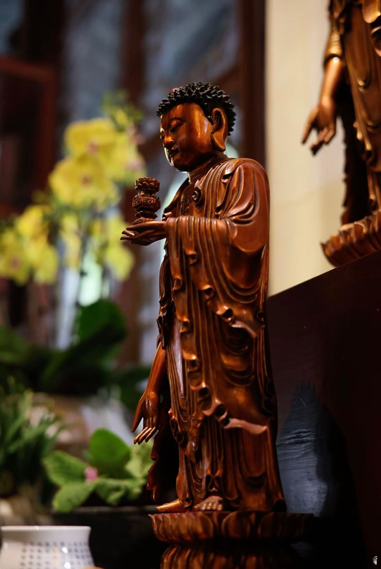 莫名其妙的人生，不是在错过，就是在遗憾，又或是在痛苦，有纯粹的轻松、快乐吗？有，