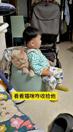 看到这个视频笑嘞直不起腰，小娃娃靠着猫咪挤在小凳子上看电视，身子扭来晃去闲不住，
