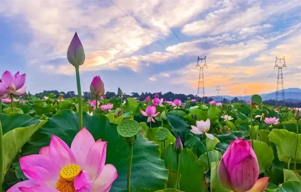 聪明的男人择偶时，会避开有这4个特征的女人。一是过度物质的女人，只看重金钱和物