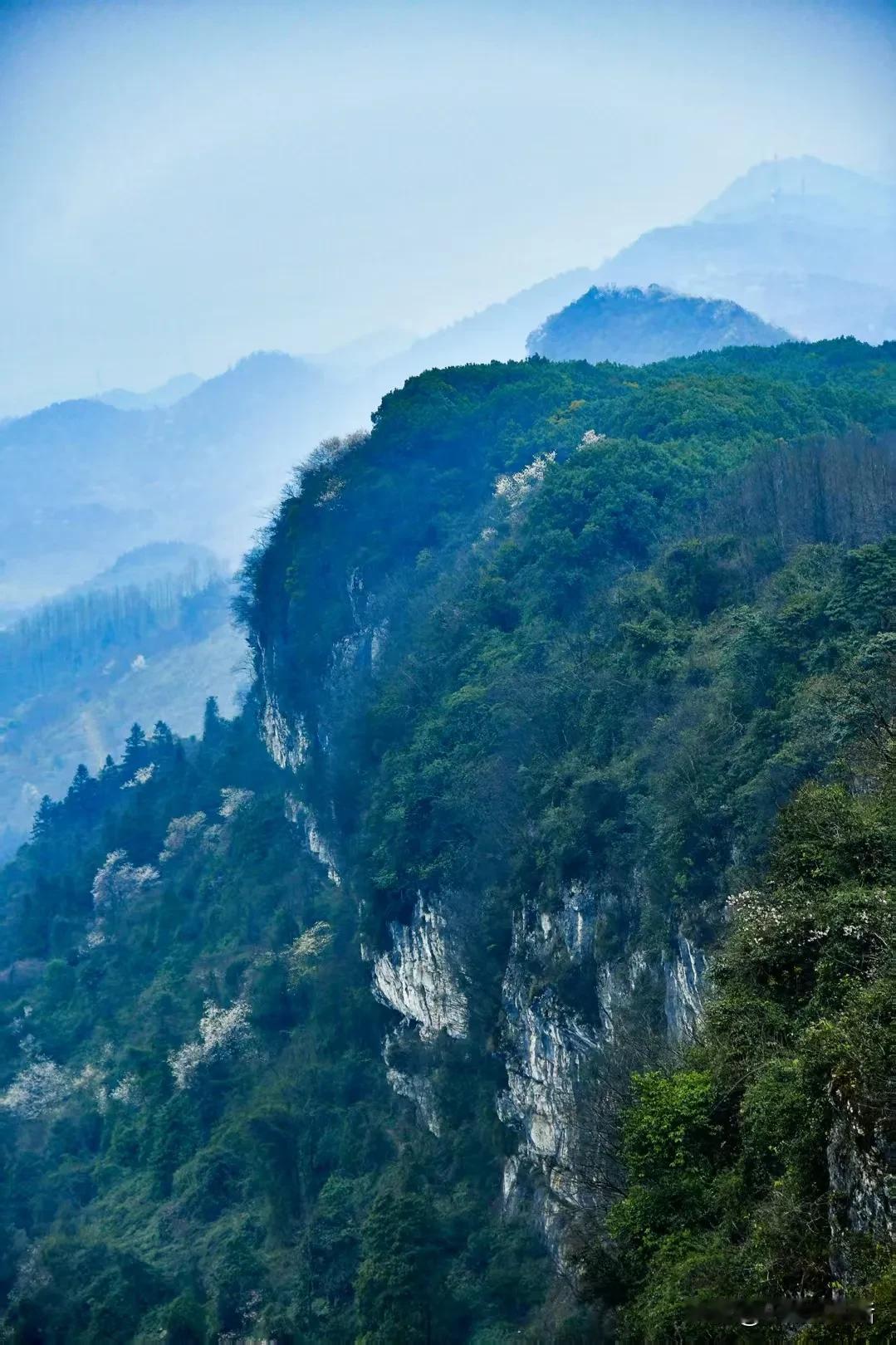 三月重庆主城徒步，别去南山歌乐山了，渝北云龟山更美，漫山遍野的野樱花超美，被网友