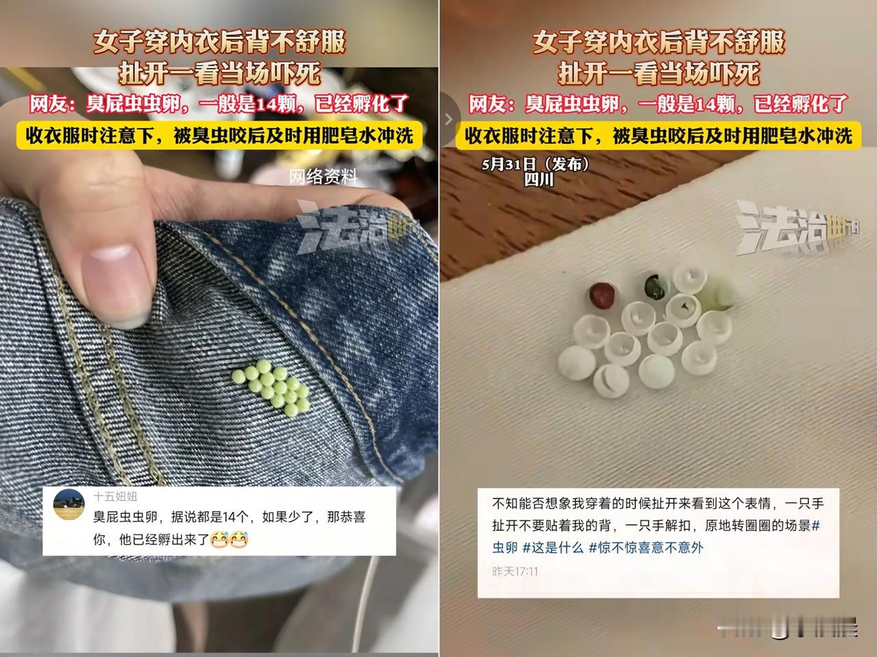 太恶心了！四川李女士早上穿内衣总觉得扣着不得劲，一扯开来直接吓尖叫！
