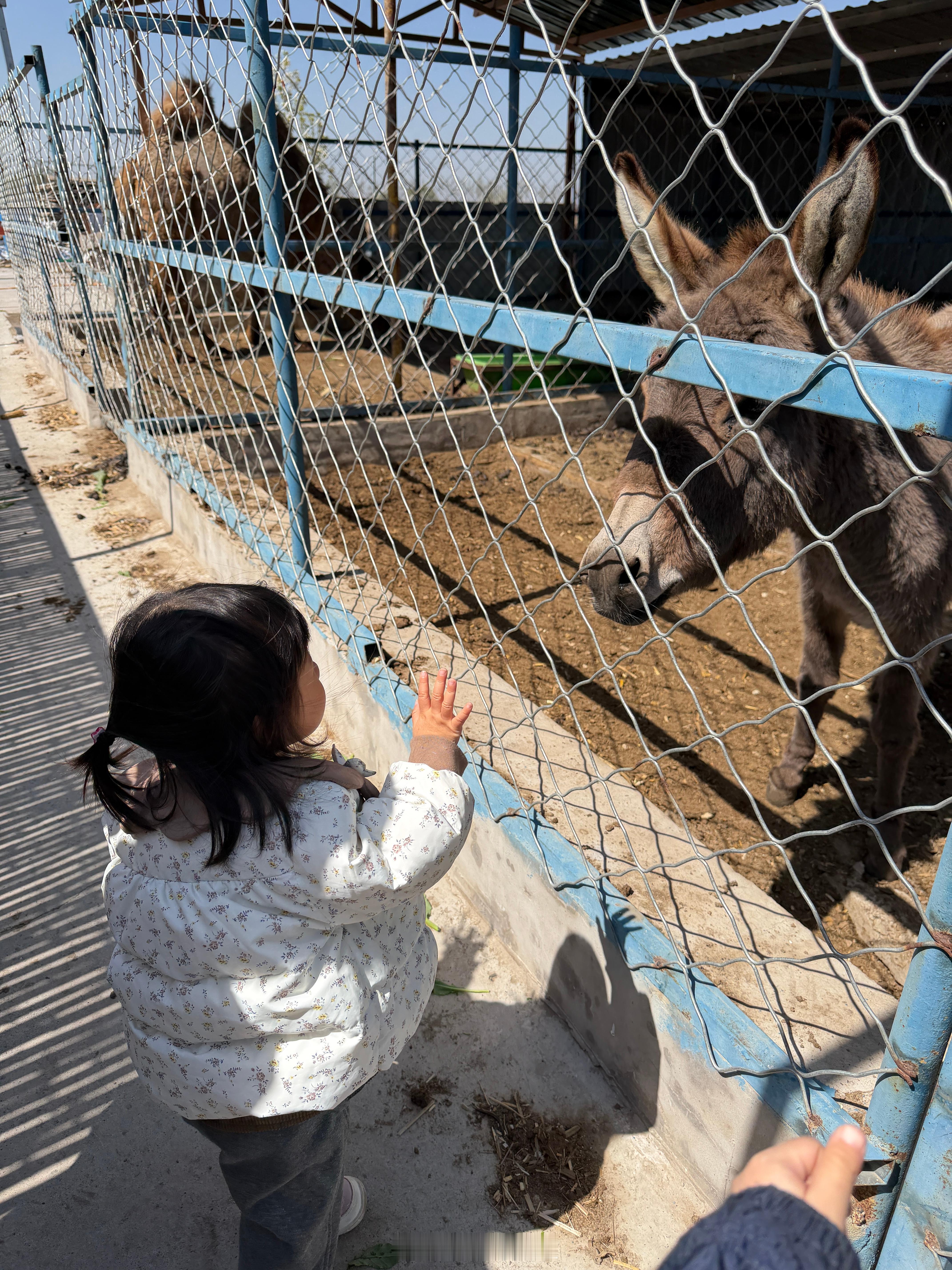 来朋友家的农家乐，吃饭