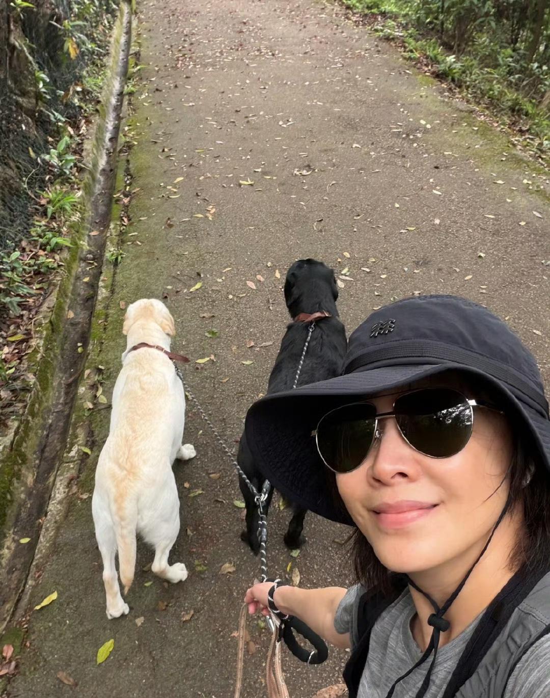 属于刘嘉玲的完美周日早晨好久不见的刘嘉玲周日的早晨带着她的狗狗们在户外活动