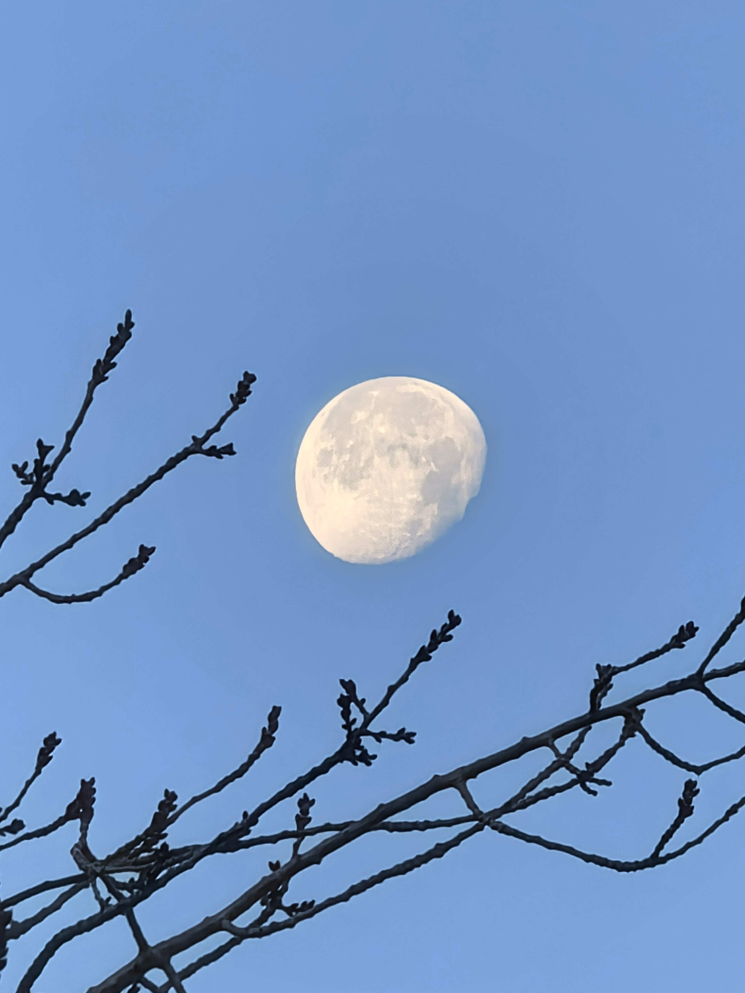 有没有五分钟可以搞定的儿童早餐，真的不知道做什么了