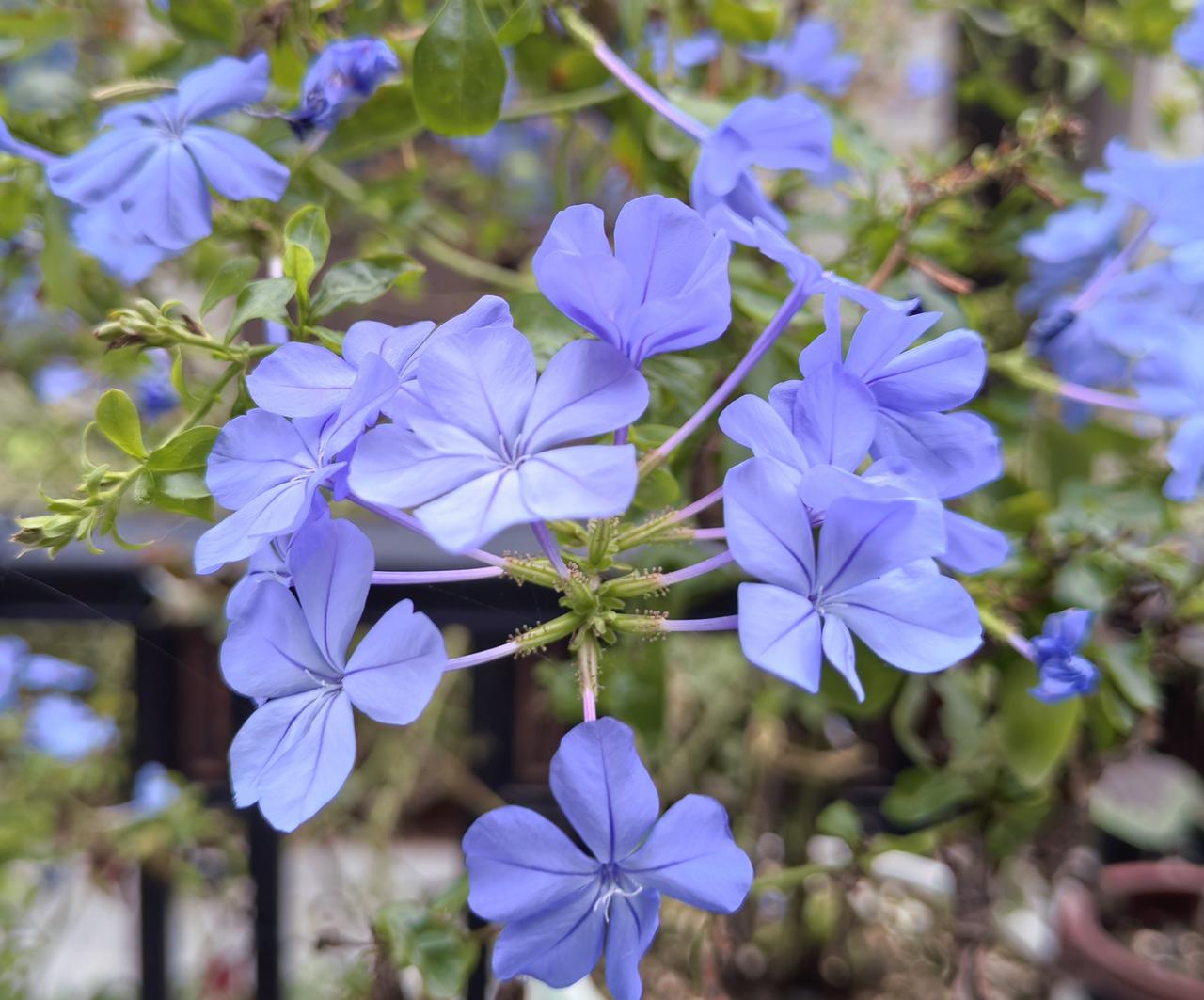 “随母姓的孩子跟我无关，谁生谁养，反正我一分钱不出。”每当有人提出女性