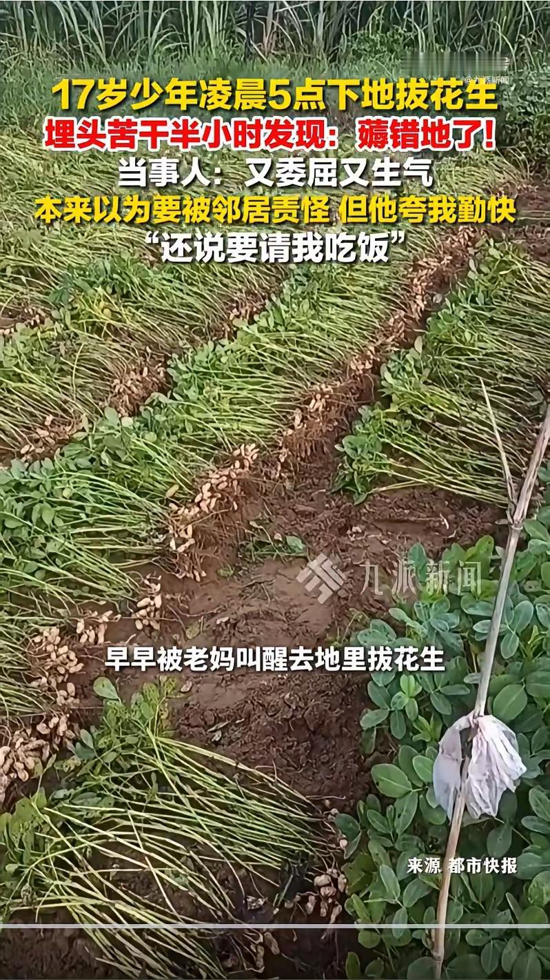 真不能怪他毕竟人家确实是一片好心😂