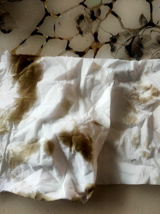 刚提车3个月迈腾330豪华晚上停的时候发动机下方没有这东西。第二天开车4公里上