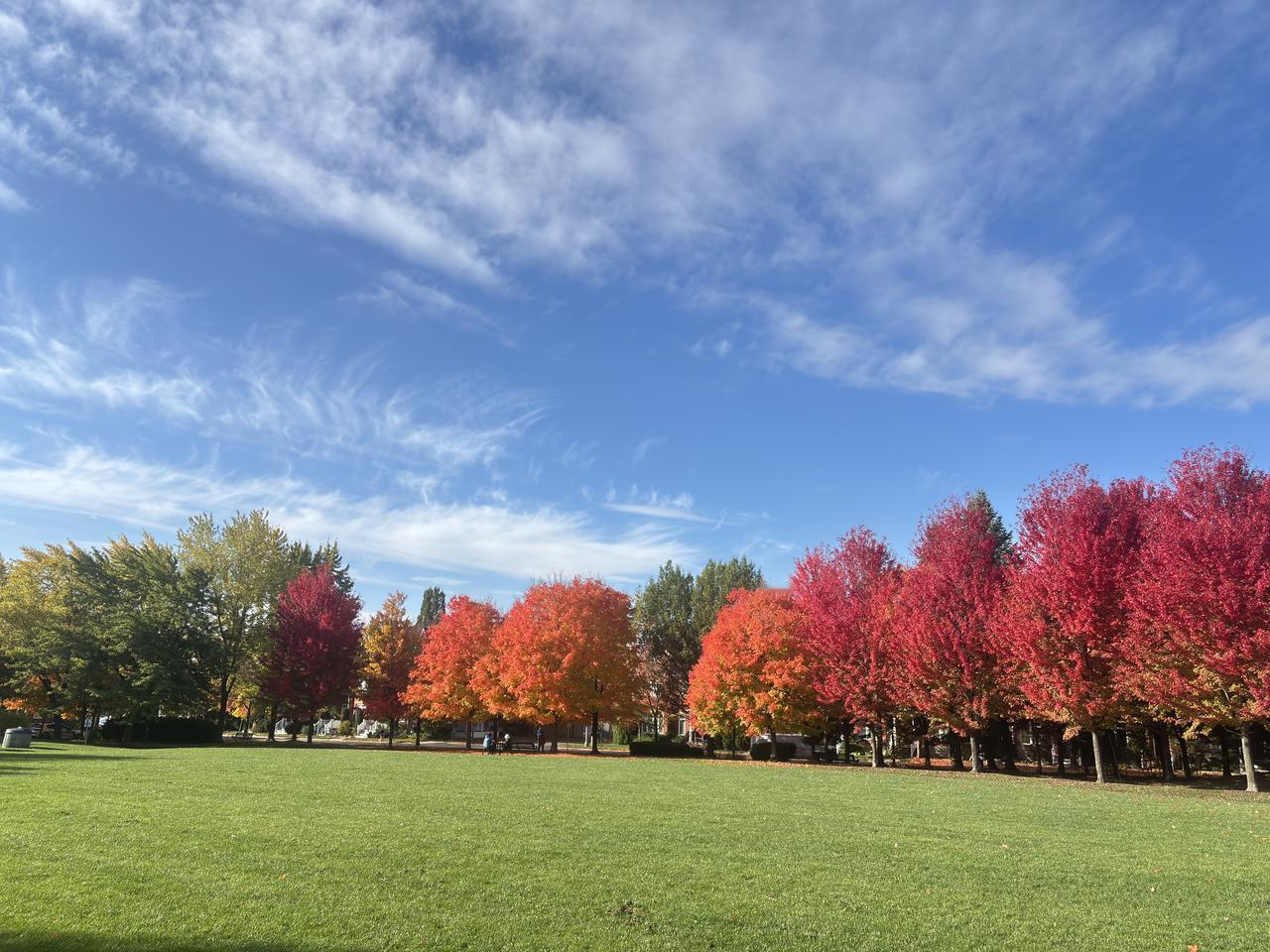 这位人间清醒啊！“比特币14年翻了近万倍！！！才跌一点点，就鬼喊乱叫！有啥关系