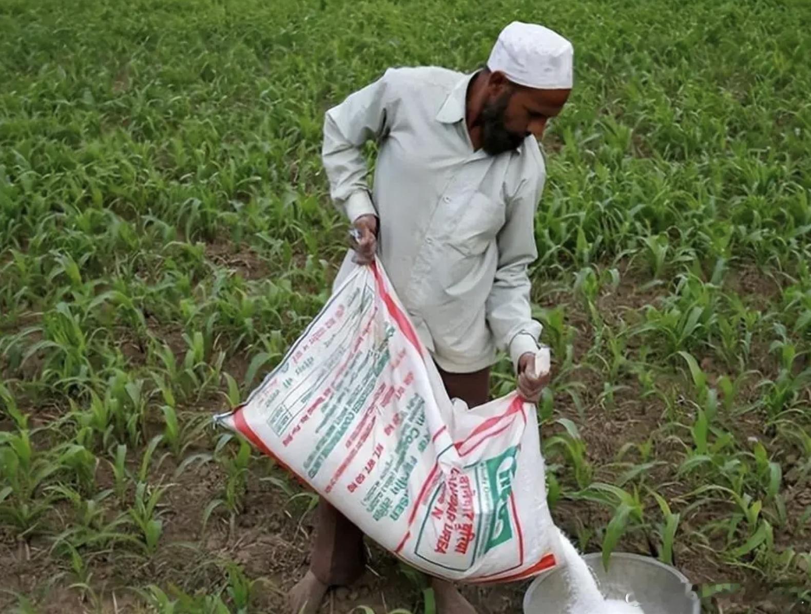 印度这是急了？250万吨尿素，价格翻倍也要抢！一吨尿素快1000美元了，比俩月前