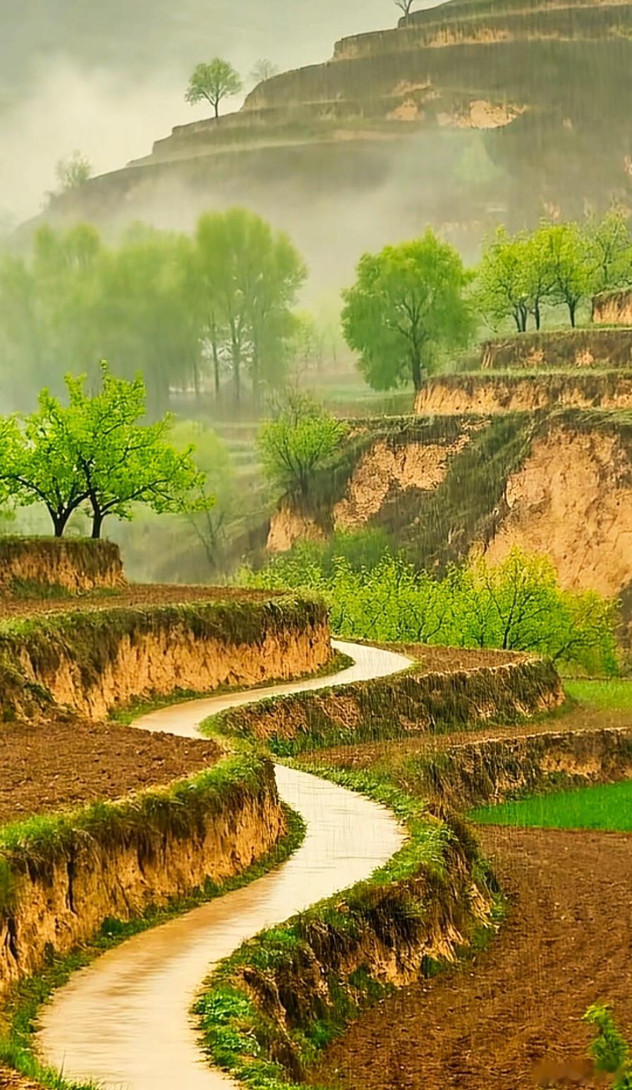 一种很新的拜年方式【雨润梯田】雨丝，是春天最温柔的针脚，一针一线，把远山、近树和