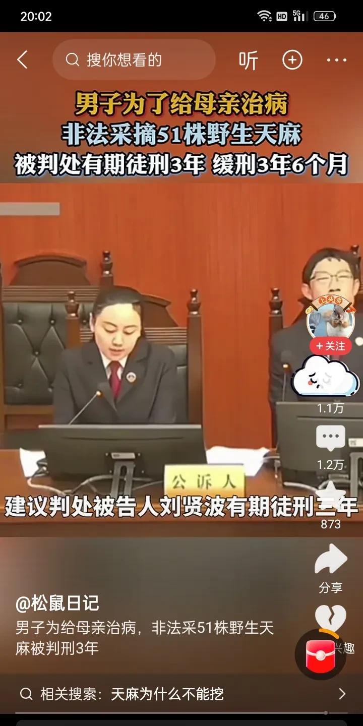 男子为救母亲，偷采野生天麻51株，因为破坏生态，被判有期徒刑三年，缓刑三年六个月