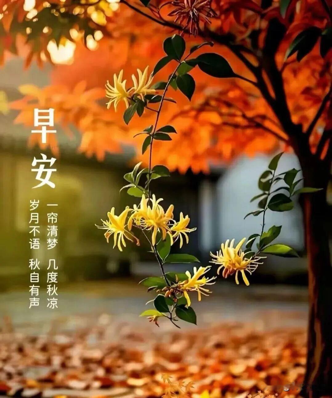 🌧️²⁰²⁶/₀₈.₂₈ᵕ̈周五｜秋雨绵绵🍂🍒🍑🍃𝐆𝐨𝐨𝐝