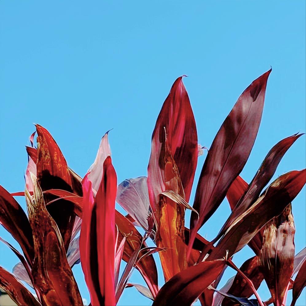 杨卫华履新荆州 近日，杨卫华跨市履新荆州，在政协任职。 该同志今年56岁