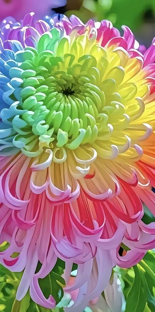 以前的皇帝死了，对他身边的女人有影响。他一个命令，殉葬！女人就不能活了。因为皇