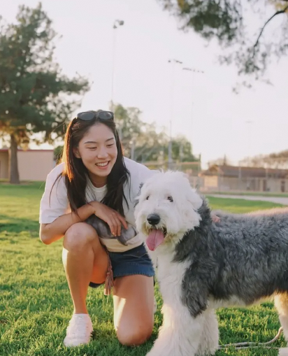 王欣瑜加州生活plog超有爱，与狗狗互动萌翻啦