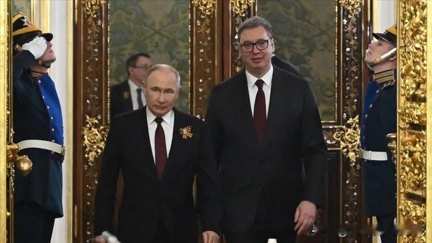 近期，塞尔维亚总统武契奇的一则表态引发俄方强烈不满！他在接受德国《Cicero》