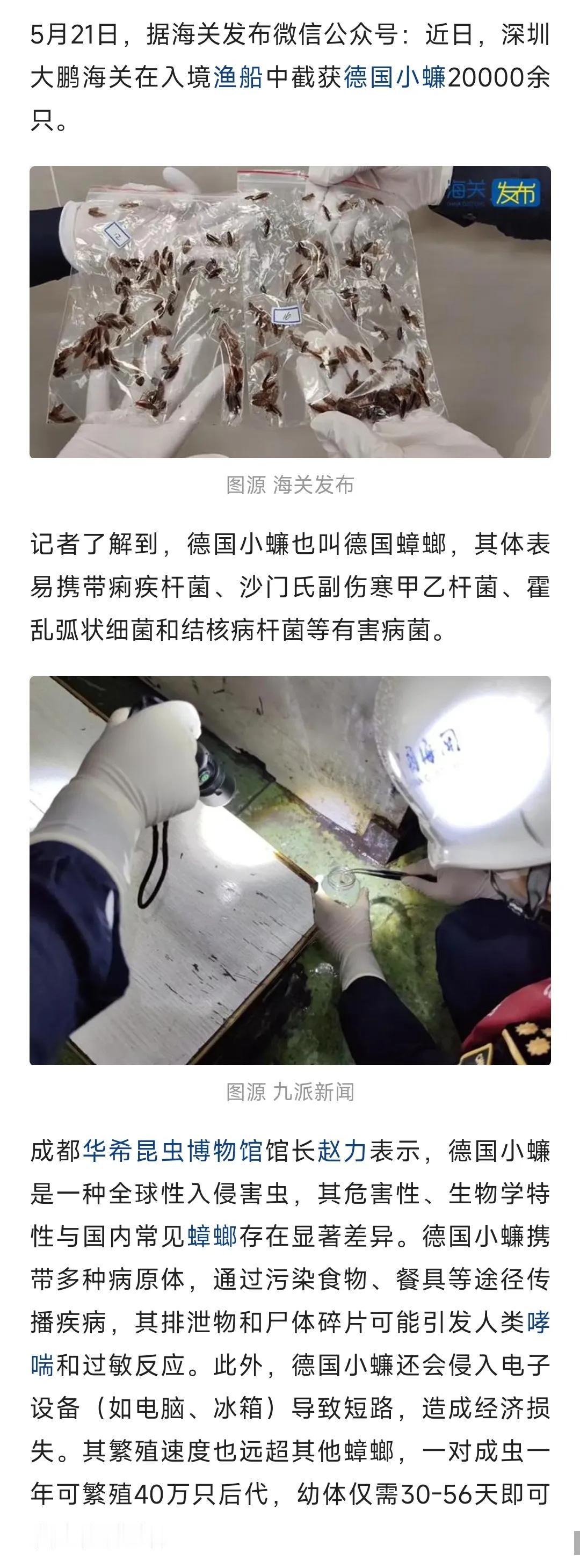 重点是谁携带的，目的是什么？判他个倾家荡产，让他把牢狱坐穿。