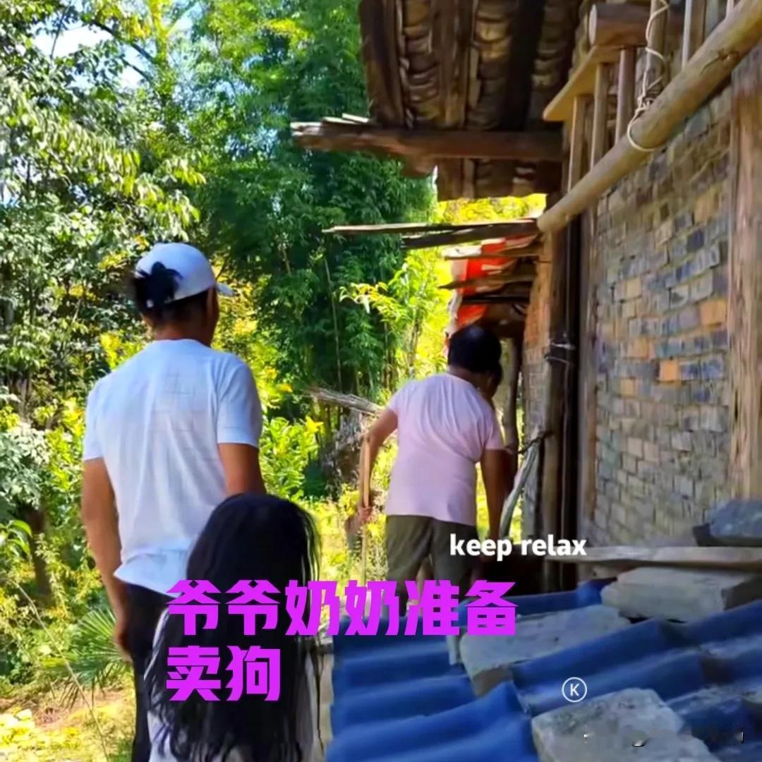 村里来了个收狗的，爷爷奶奶准备把家里养了几年的狗卖了。就在爷爷奶奶解狗链时，小女