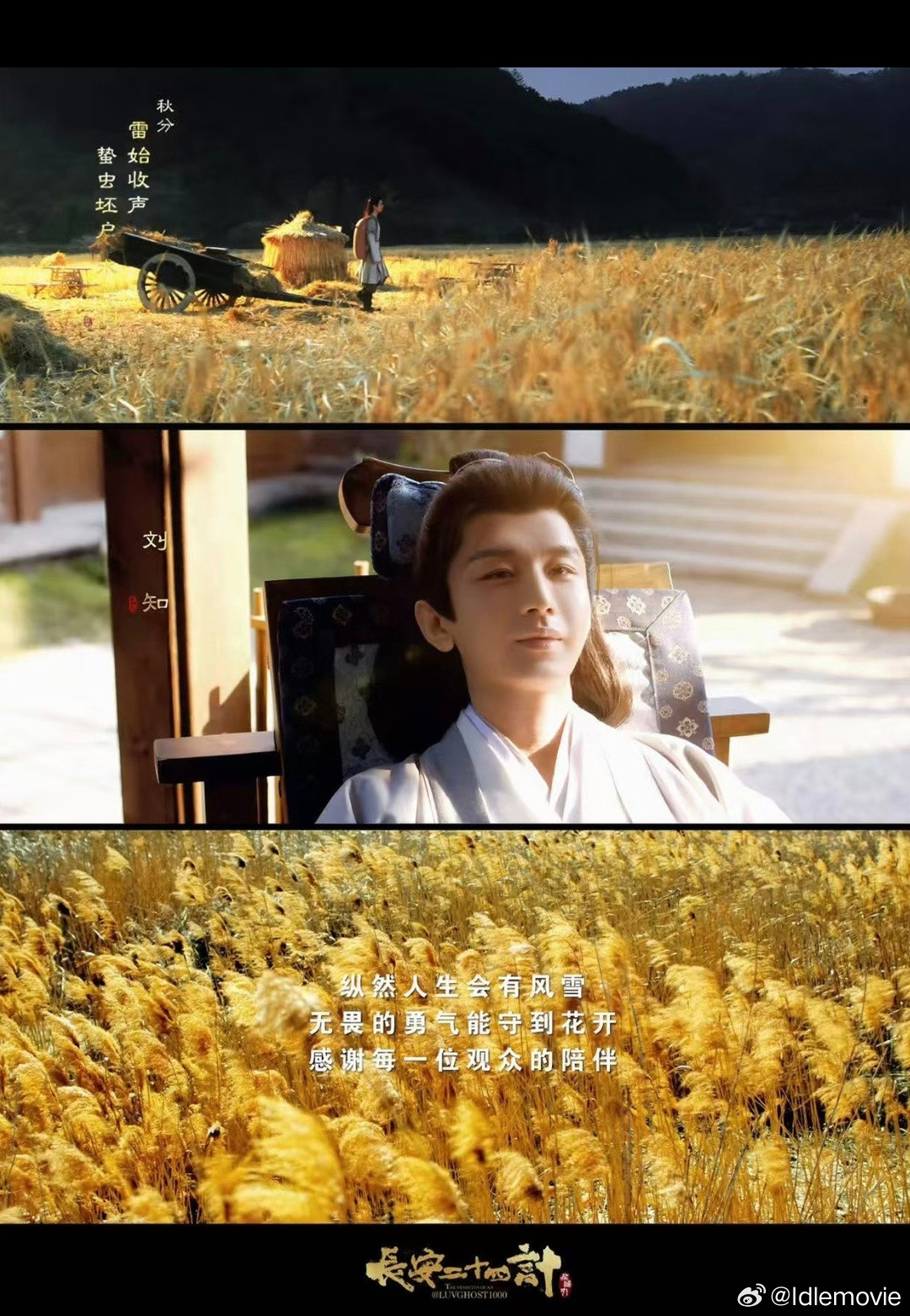 成毅长安二十四计长尾热度创新高为24G跑一百步的队伍还在不断壮大，好剧就是能留下