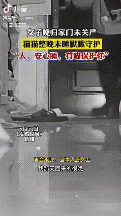 太有灵性了!新疆,一女子大半夜回家,结果忘关家门了。没想到她家橘猫的举动,让好多