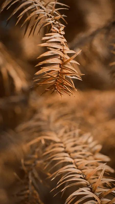 当今社会最“火”的话题，非人工智能莫属。从互联网大佬到普通百姓，都在热议AI。它