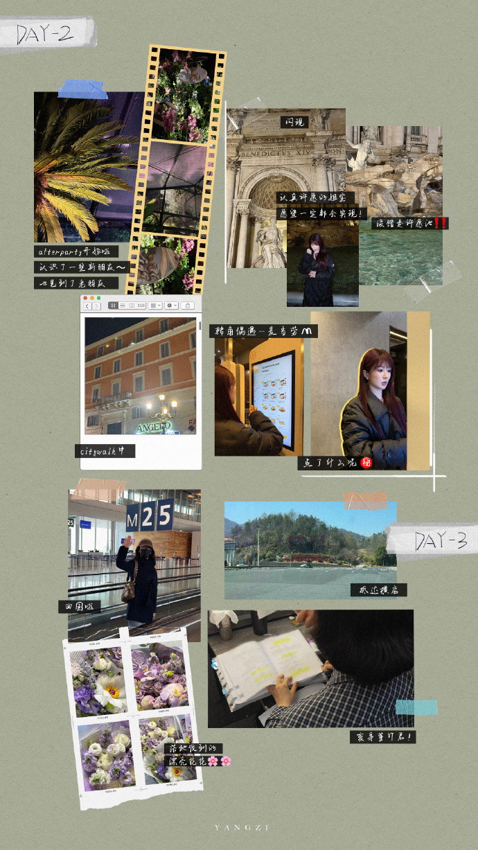 杨紫罗马拼贴plog杨紫罗马拼贴plog，杨紫的罗马日常送达，记录每一刻的美好