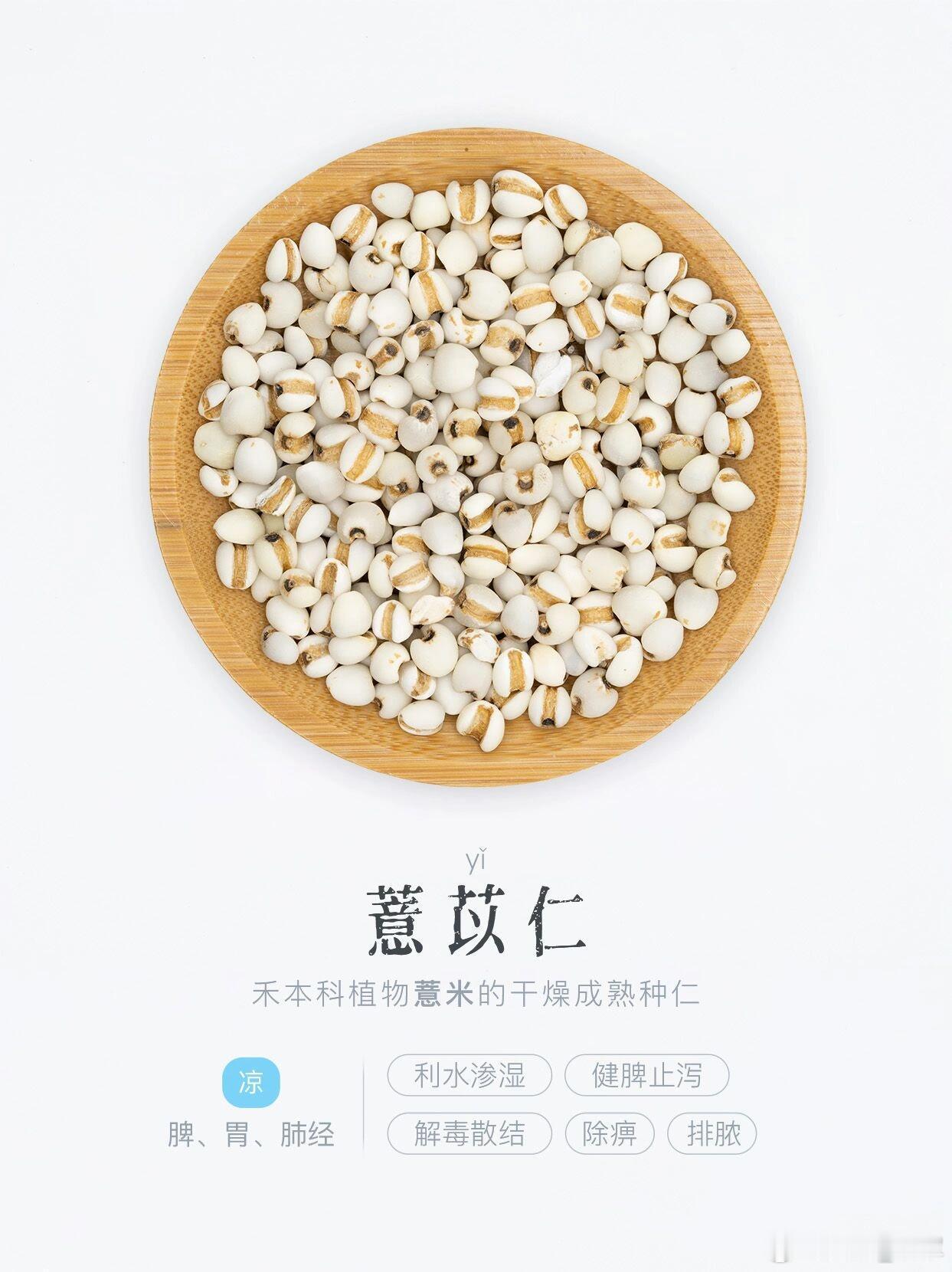 薏苡仁外敷治疗扁平疣薏苡仁研末外敷，是中医皮肤科治疗扁平疣（扁瘊）的经典“简、