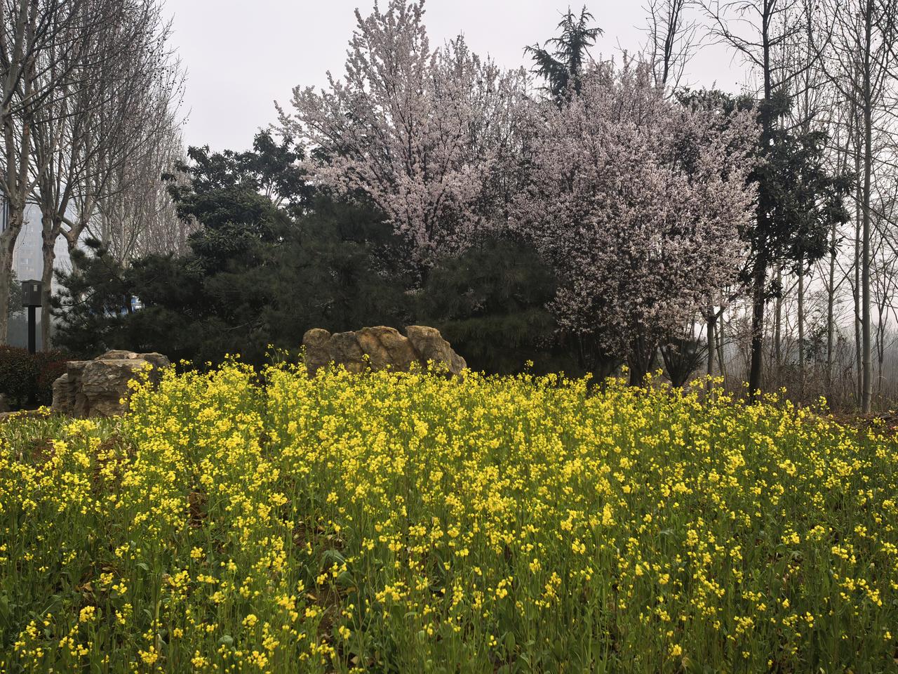老师一句鼓励话，改变的可能是孩子一生十天前，孩子数学老师在班级群里说，如果哪位