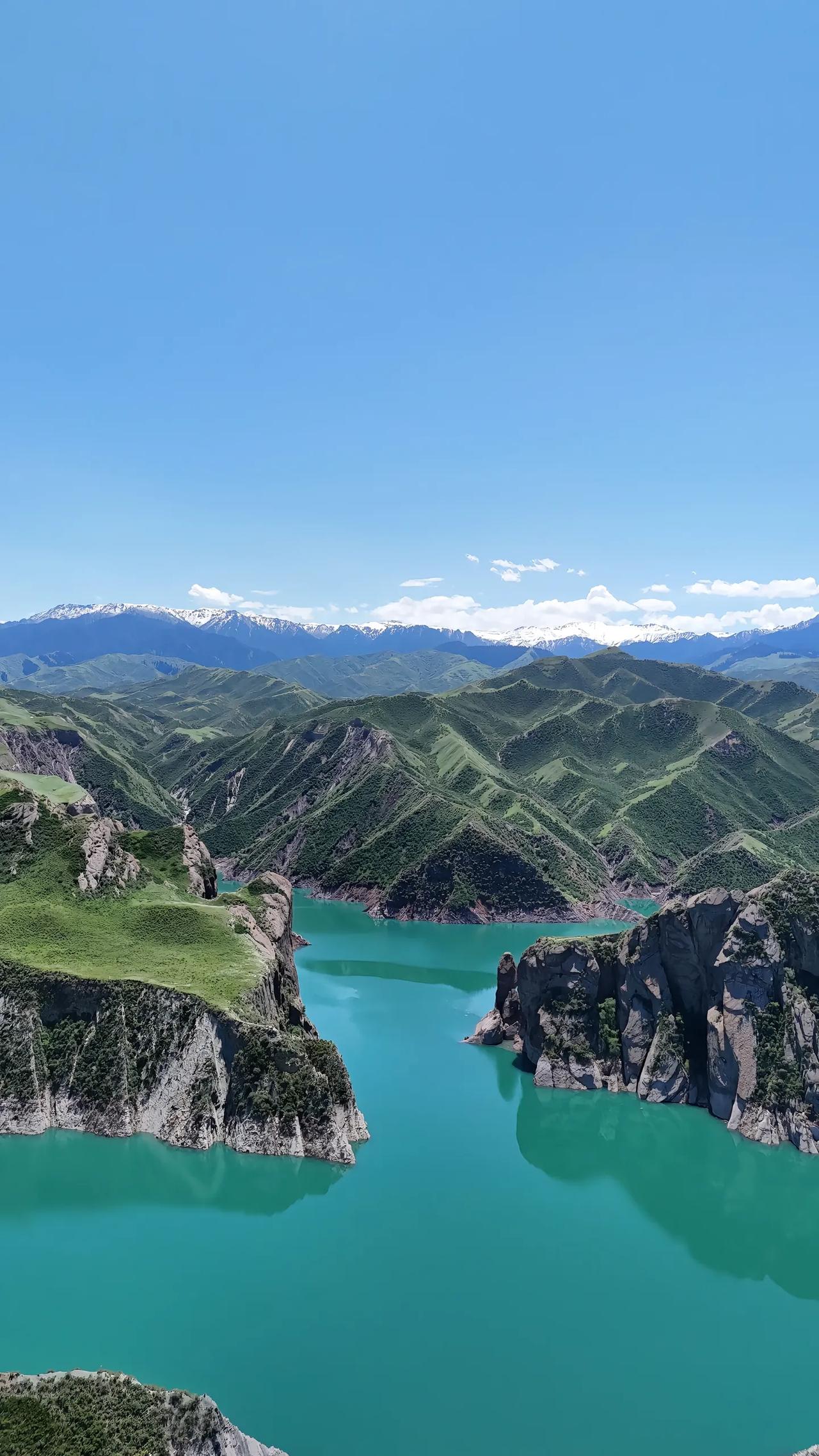 说真话，每次看到985毕业的优秀的人才被裁员了，我就特别的心痛，为什么呀？因