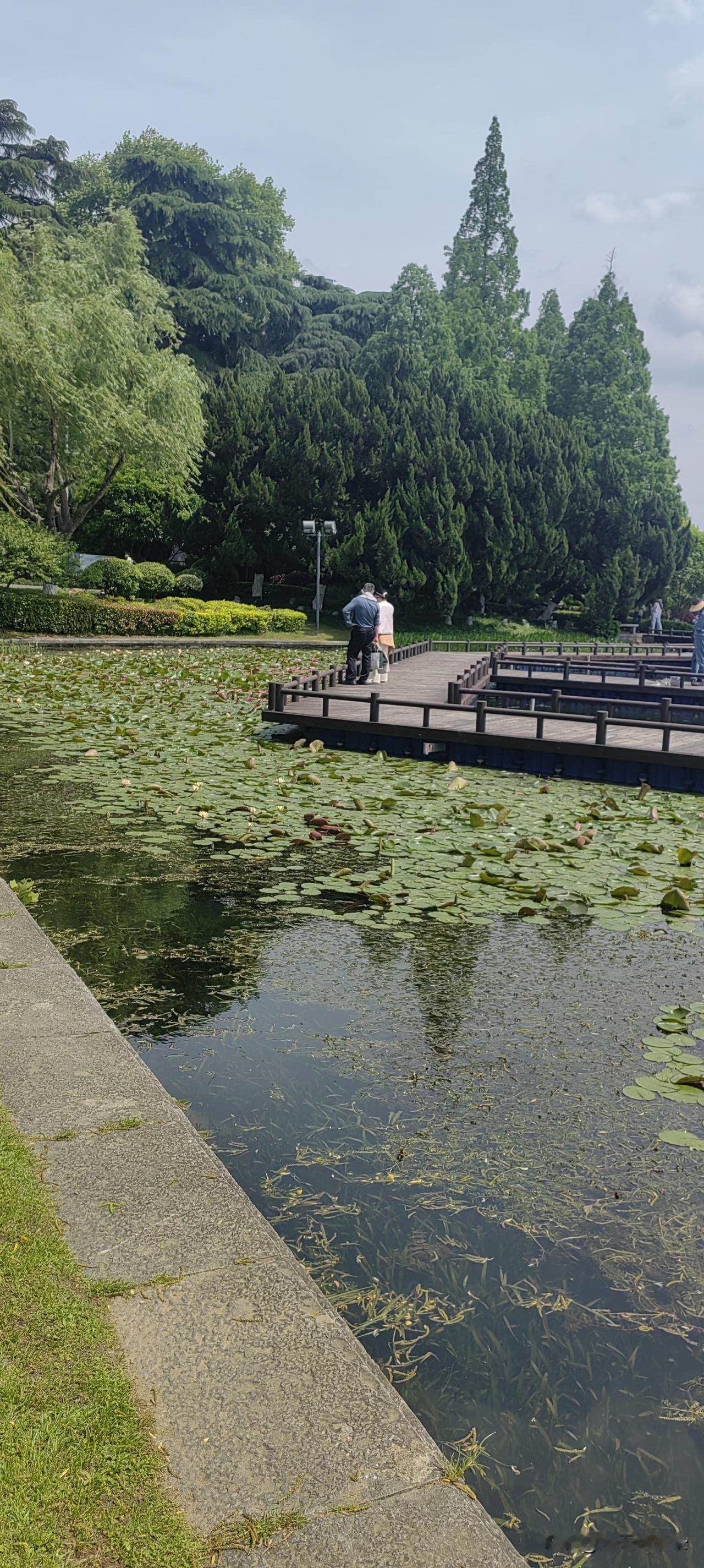 独来独往，是谓独有。孤独，会让一个人变得出众，而不是合群。读书，不只能读在脑子里