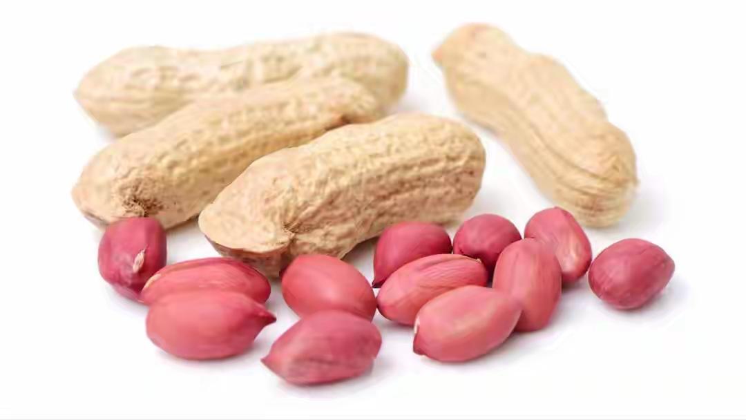 花生是高血压“催化剂”?提醒:若不想血压失控，远离“1白2黄”花生是高血压“