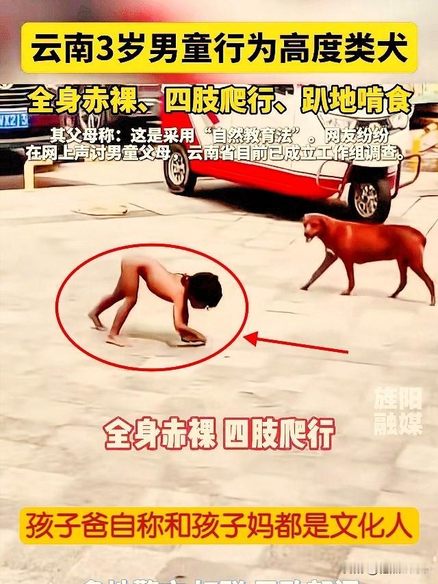 野孩子被质疑父亲罕见发声地上爬行的野孩子亲生爸爸回应：自己和孩子妈受过