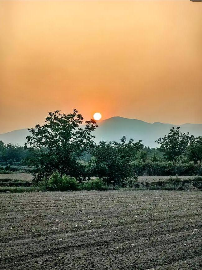 我拍到的落日瞬间偶然定格住这落日下沉的一瞬，暖橘暮色铺满乡野远山，旷野与树影都浸