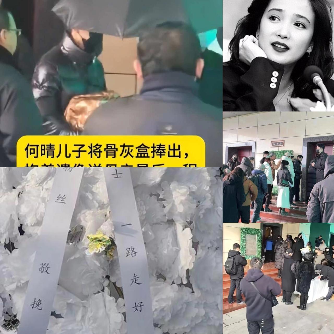 何晴葬礼举行！儿子手捧骨灰，遗像曝光惹泪目，廖京生现身送别！雪落无声送别