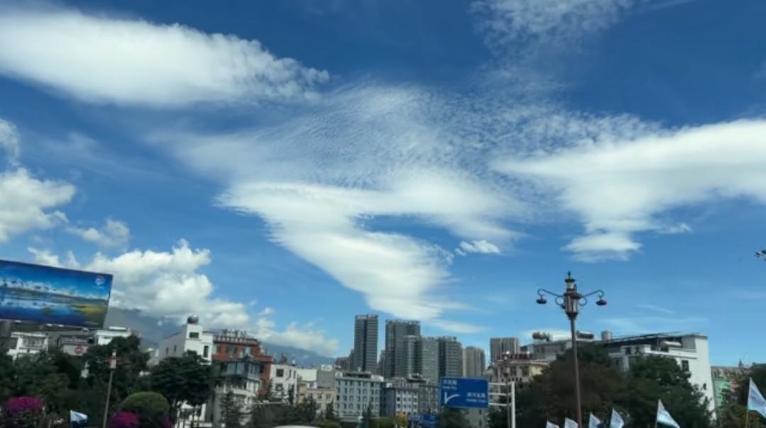 身边的风景随手拍…
