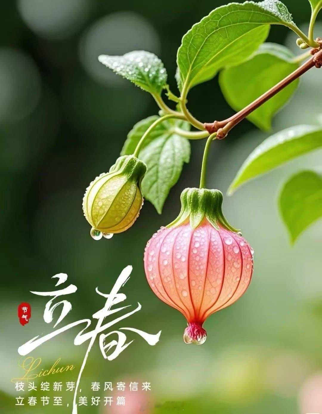 大家不知道发现没有？现在亲戚之间借钱，比方说借1万块钱，很多人3年没还，到现在