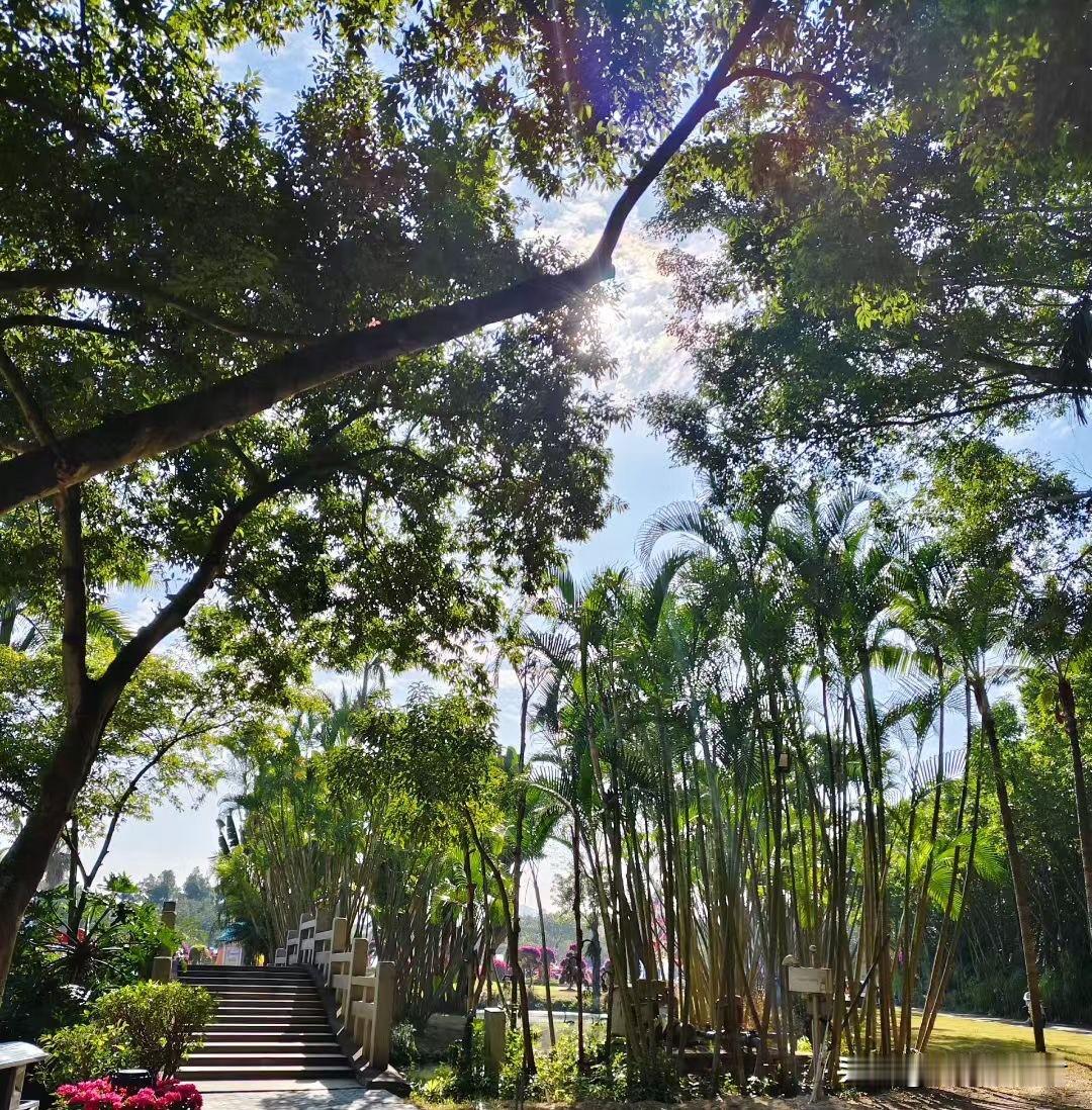 这样的家人，真不能嫁，所幸小姑娘跟女子弟弟分了。一女子，弟弟谈了一个女朋友，才谈