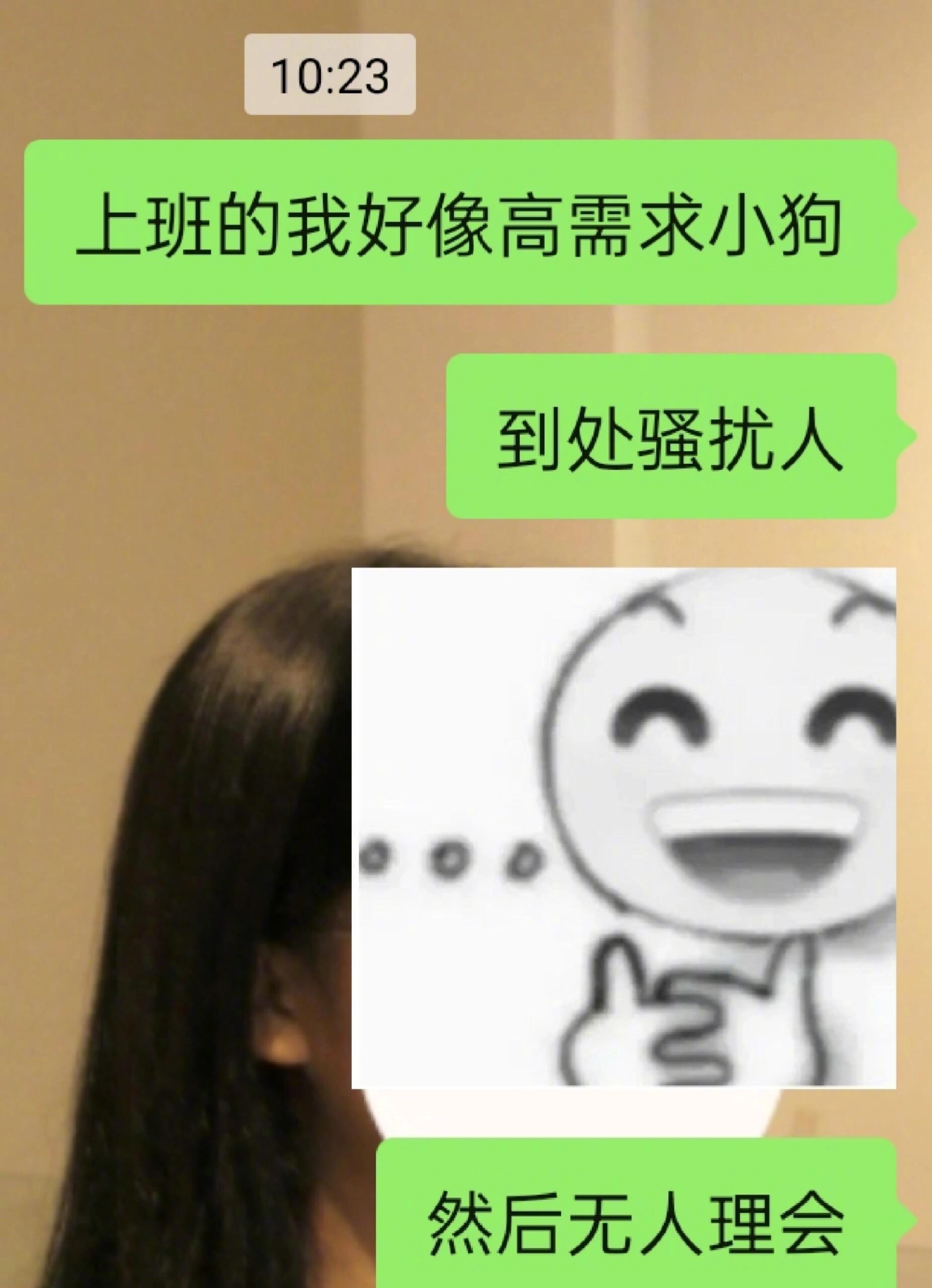 上班时的我就是高需求小狗​​​