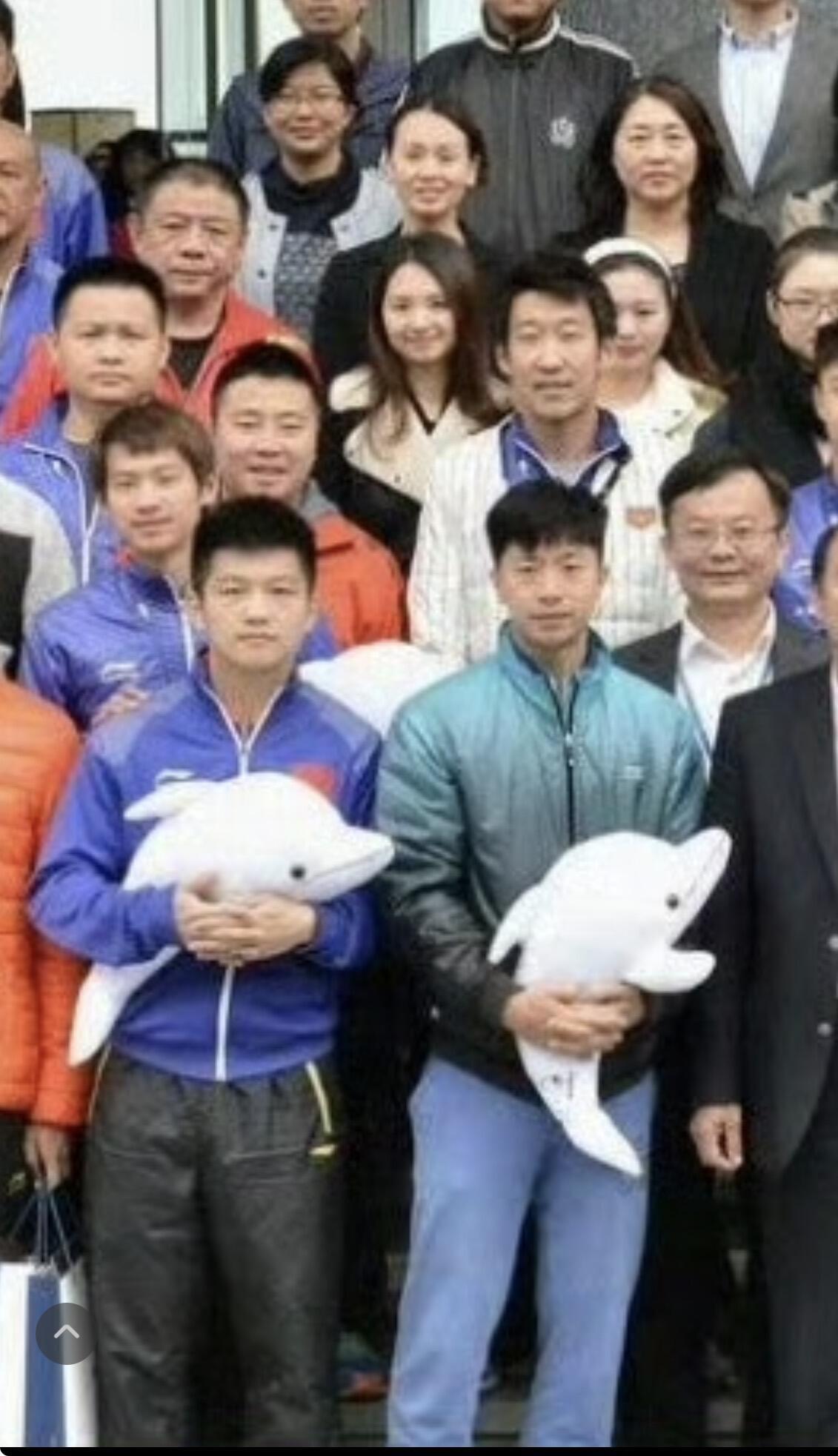 这一张绝对是罕见，马龙和樊振东同框了，这是真的很让人惊奇，都抱着小白豚！东哥抱